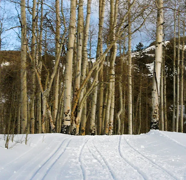 Landscape nature photo