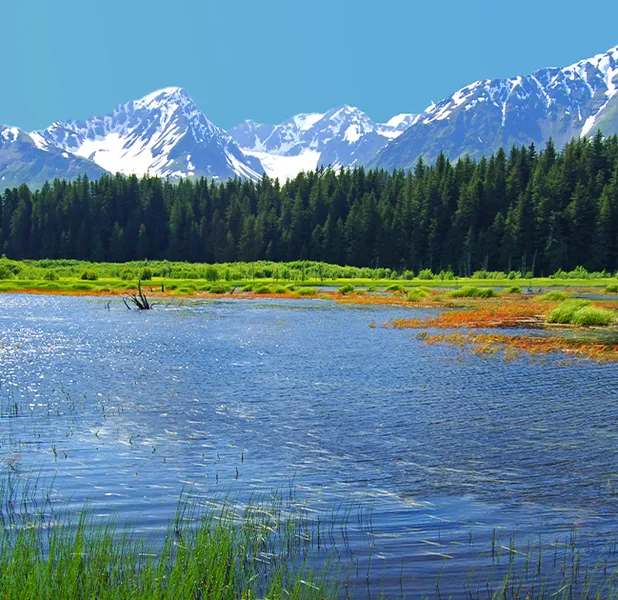 Landscape nature photo