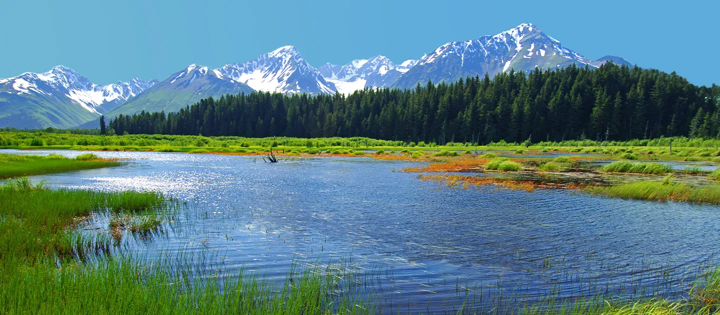 A Lifetime of Second Chances