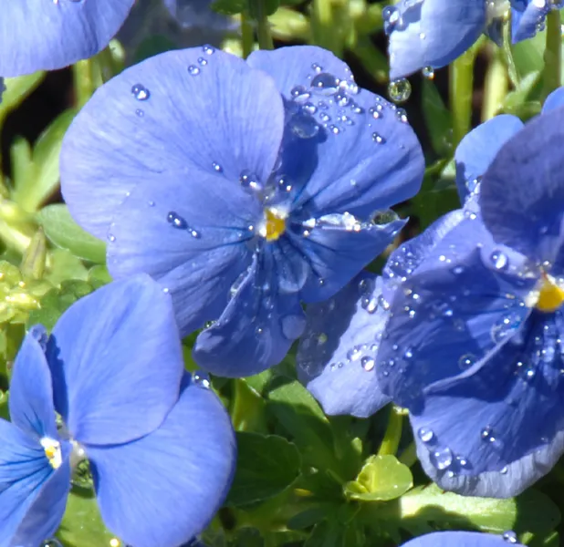 Landscape nature photo