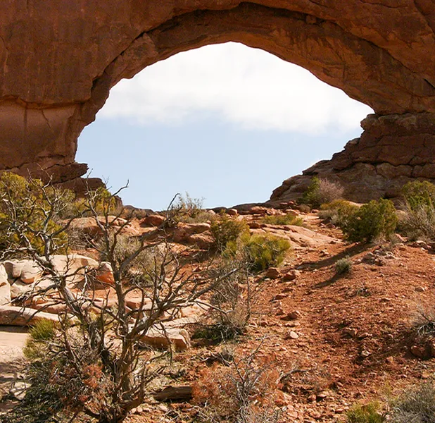 Landscape nature photo