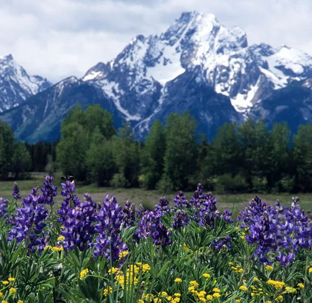 Landscape nature photo