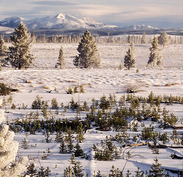 Landscape nature photo
