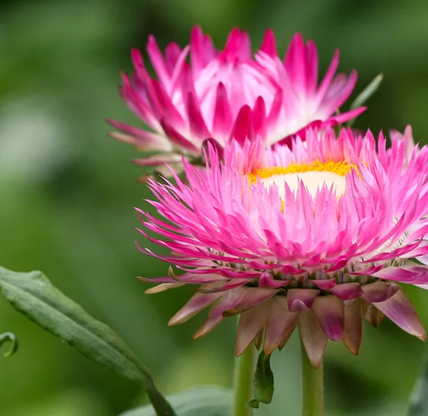 Landscape nature photo