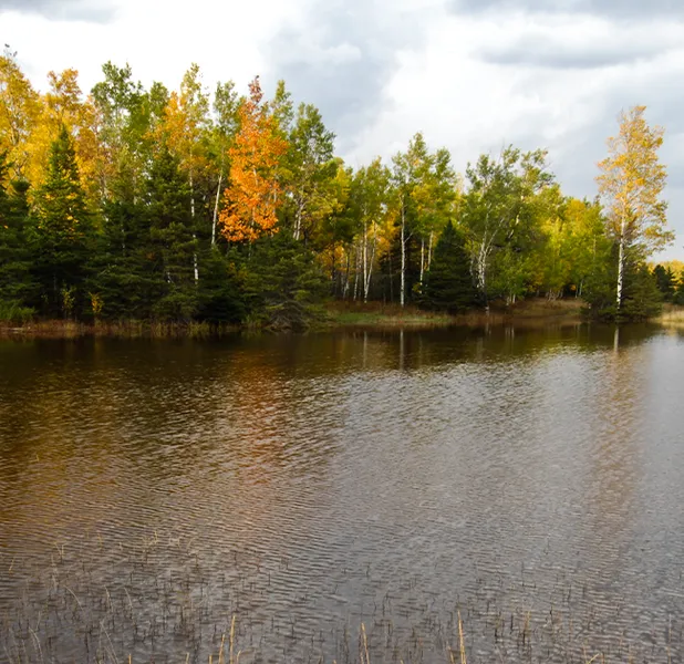 Landscape nature photo