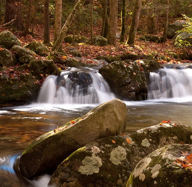 Landscape nature photo