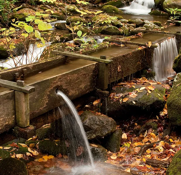 Landscape nature photo