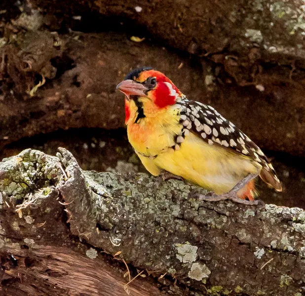 Landscape nature photo