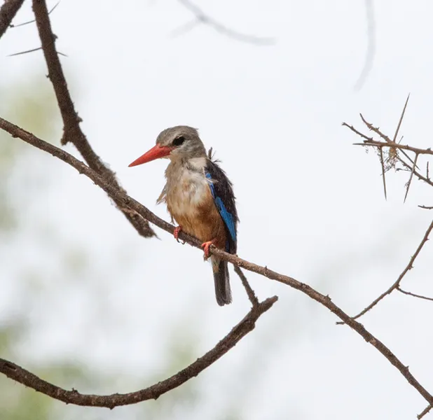 Landscape nature photo