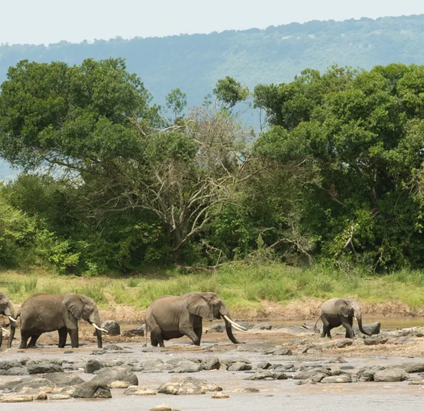 Landscape nature photo