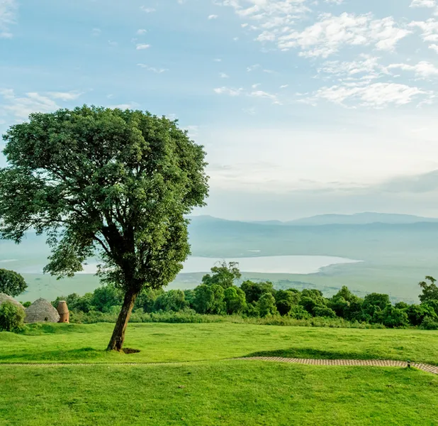 Landscape nature photo