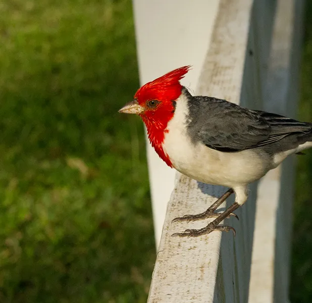 Landscape nature photo