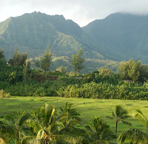 Landscape nature photo