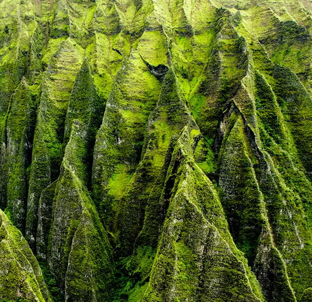 Landscape nature photo