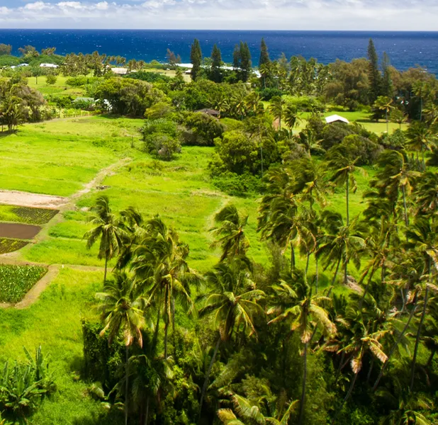 Landscape nature photo