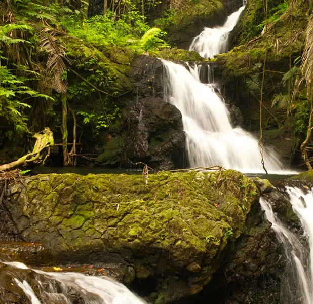 Landscape nature photo