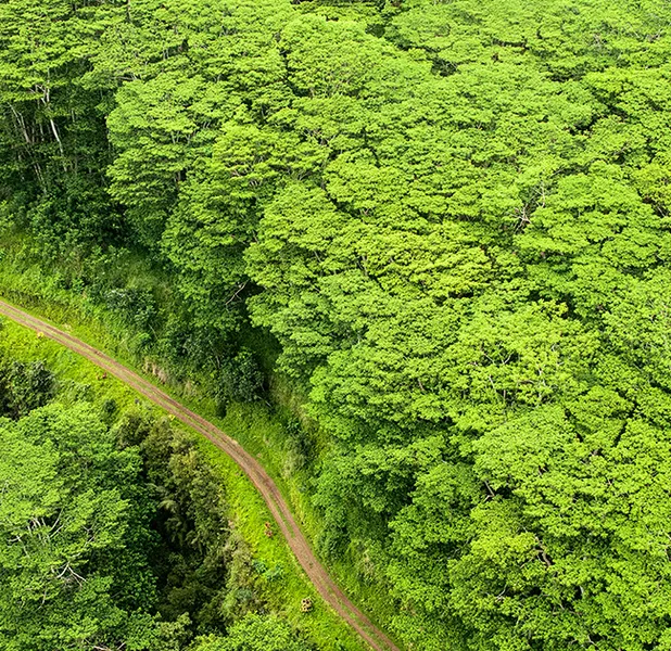 Landscape nature photo
