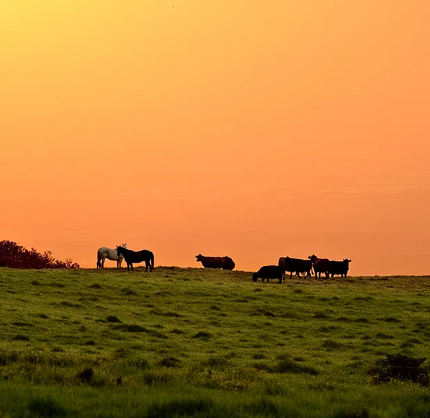 Landscape nature photo
