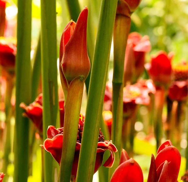 Landscape nature photo