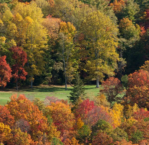 Landscape nature photo