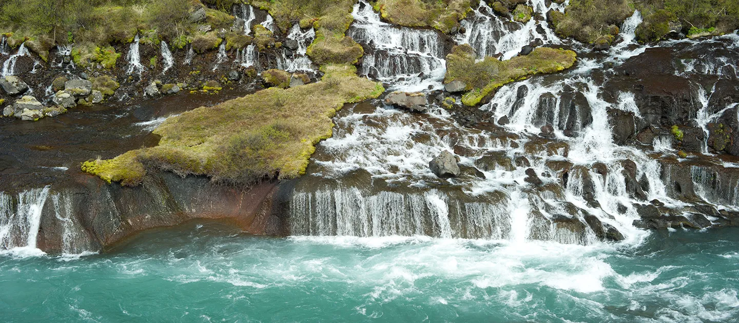 When It’s Wise to Wait