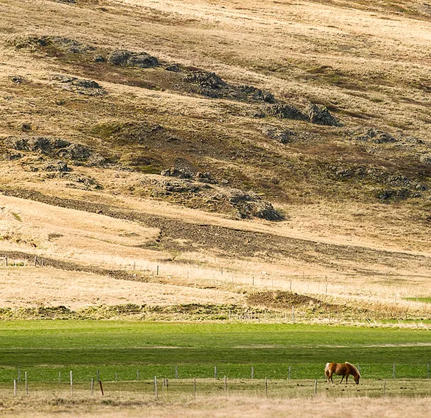 Landscape nature photo