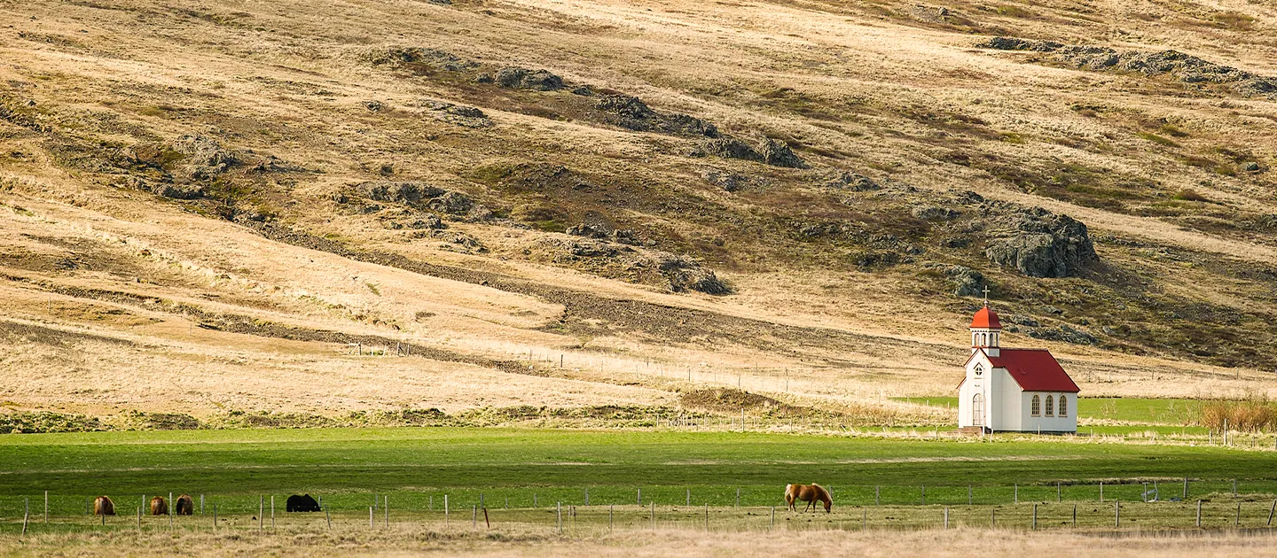 The Value of God’s Word