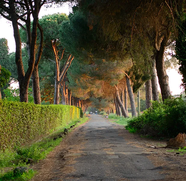 Landscape nature photo