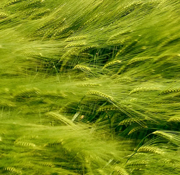 Landscape nature photo