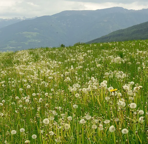 Landscape nature photo