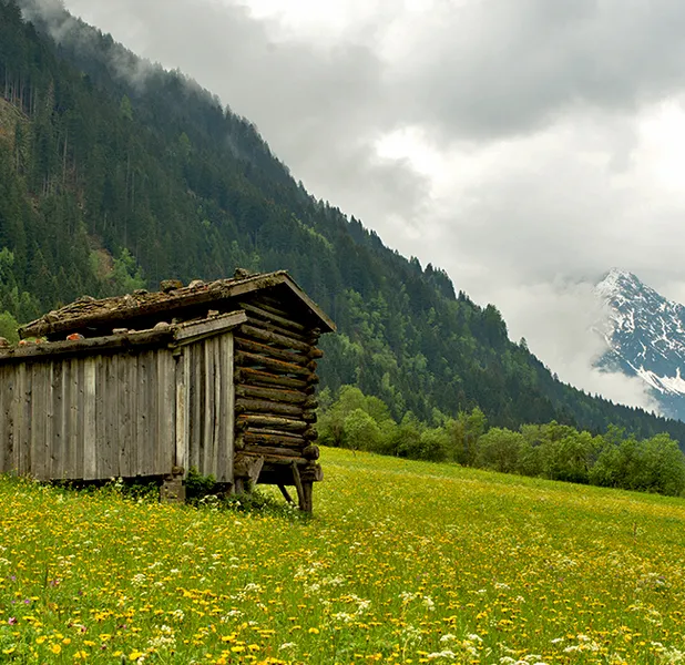Landscape nature photo