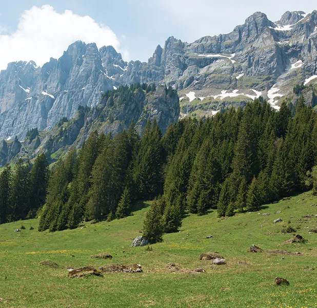 Landscape nature photo
