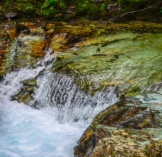 Landscape nature photo