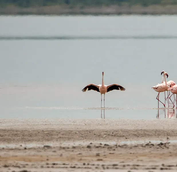 Landscape nature photo