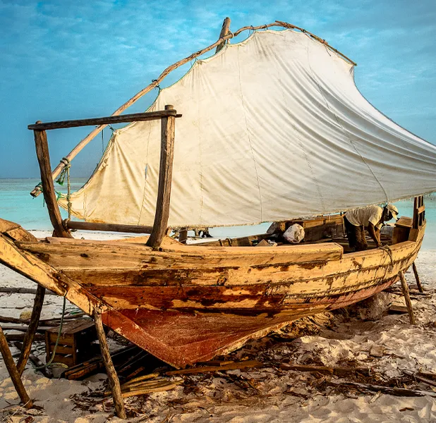 Landscape nature photo