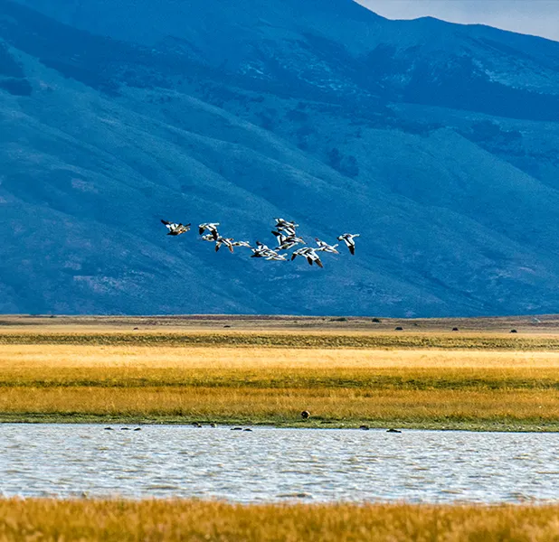 Landscape nature photo