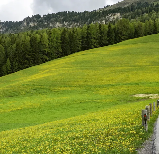 Landscape nature photo