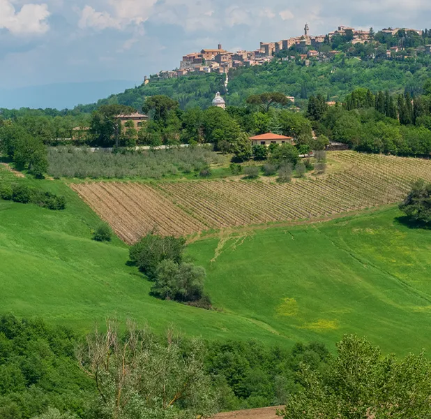 Landscape nature photo