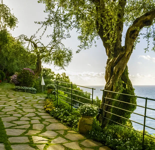 Landscape nature photo