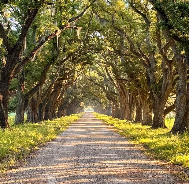 Landscape nature photo