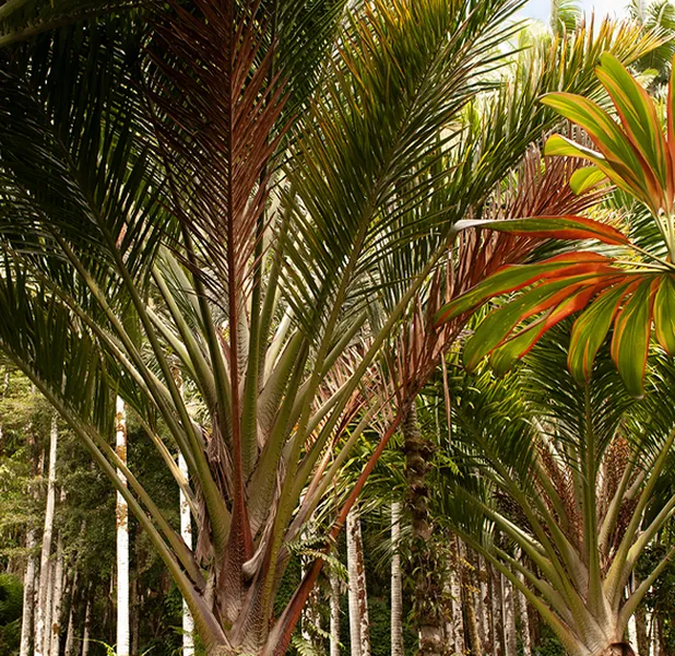 Landscape nature photo