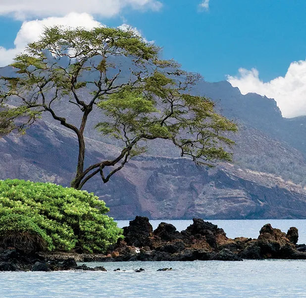 Landscape nature photo