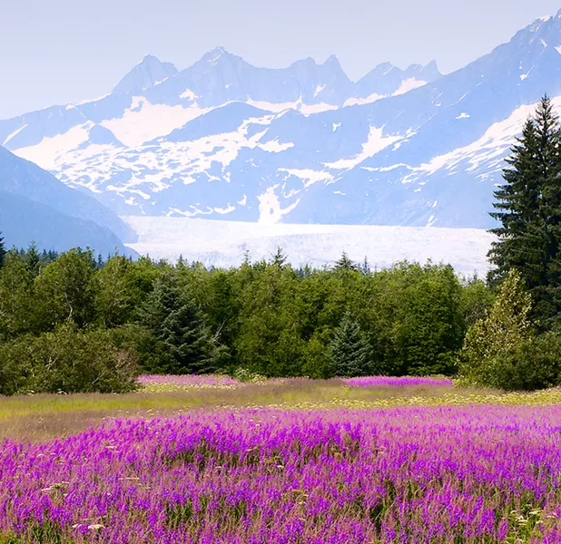 Landscape nature photo