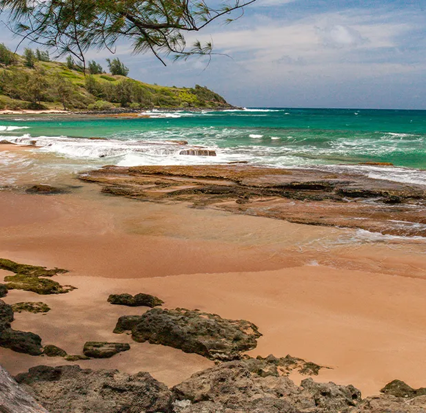 Landscape nature photo