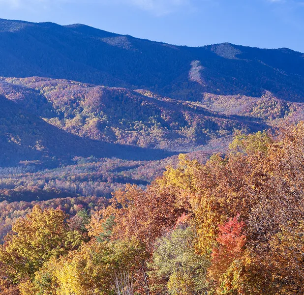 Landscape nature photo