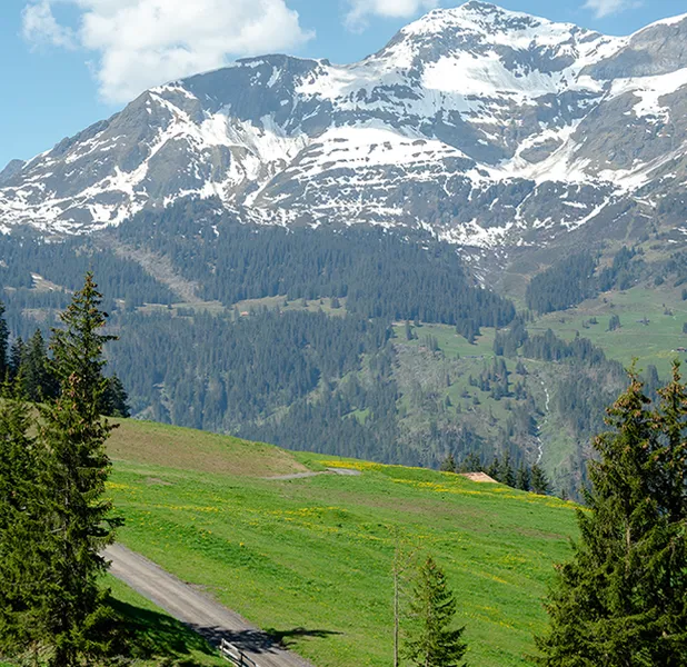 Landscape nature photo