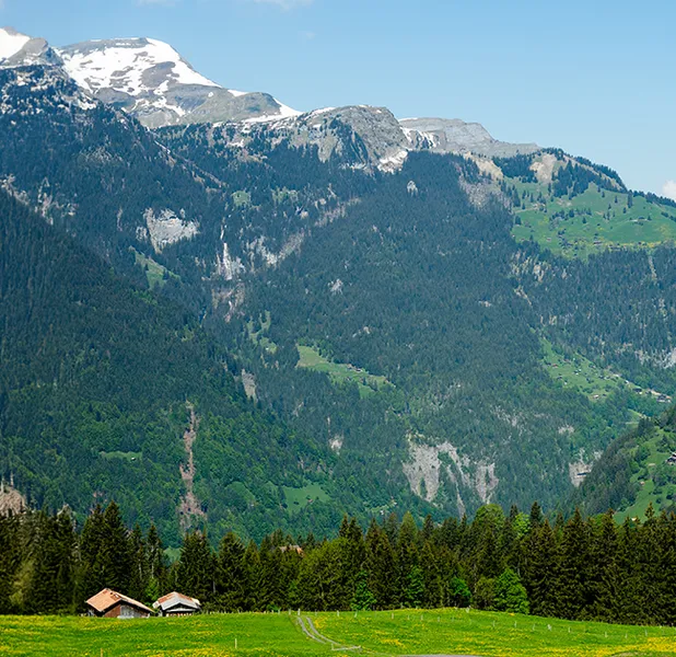 Landscape nature photo