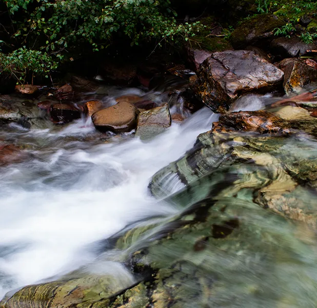 Landscape nature photo