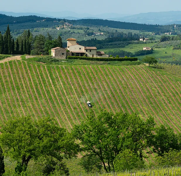 Landscape nature photo