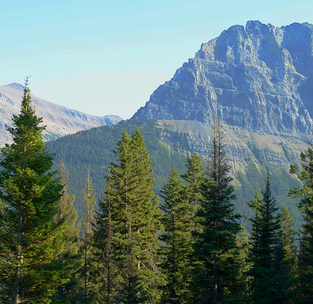 Landscape nature photo